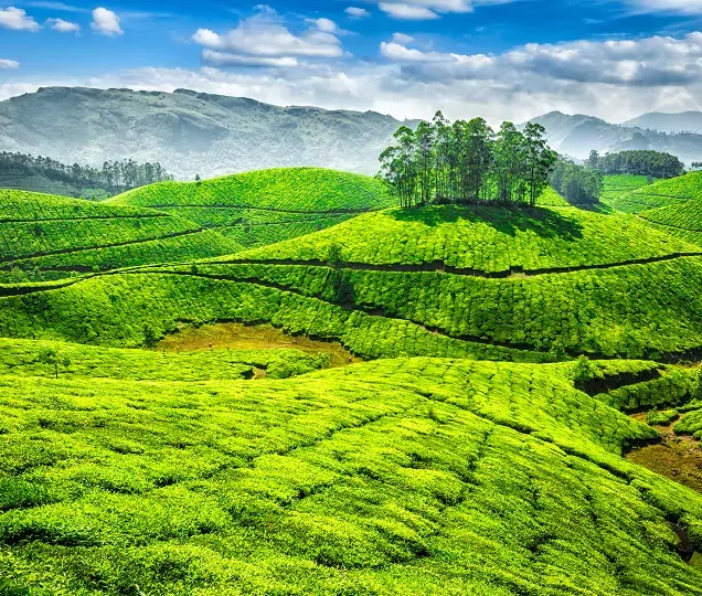 Ooty, Mysore & Coorg